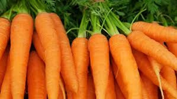 Carrot (File Picture)