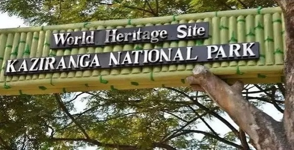 Kaziranga National Park (File Picture)