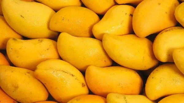 Mangoes (File Picture)