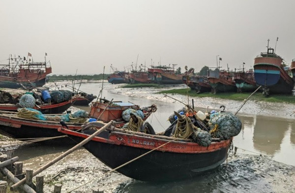 The ban lifted, many trawlers went in search of hilsa in the deep sea