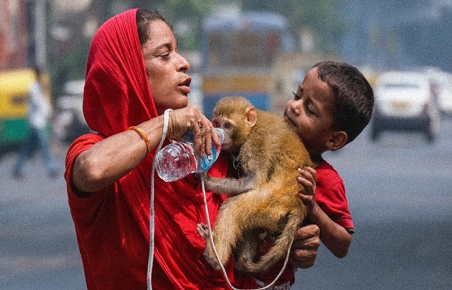 Weather forecast of Bengal