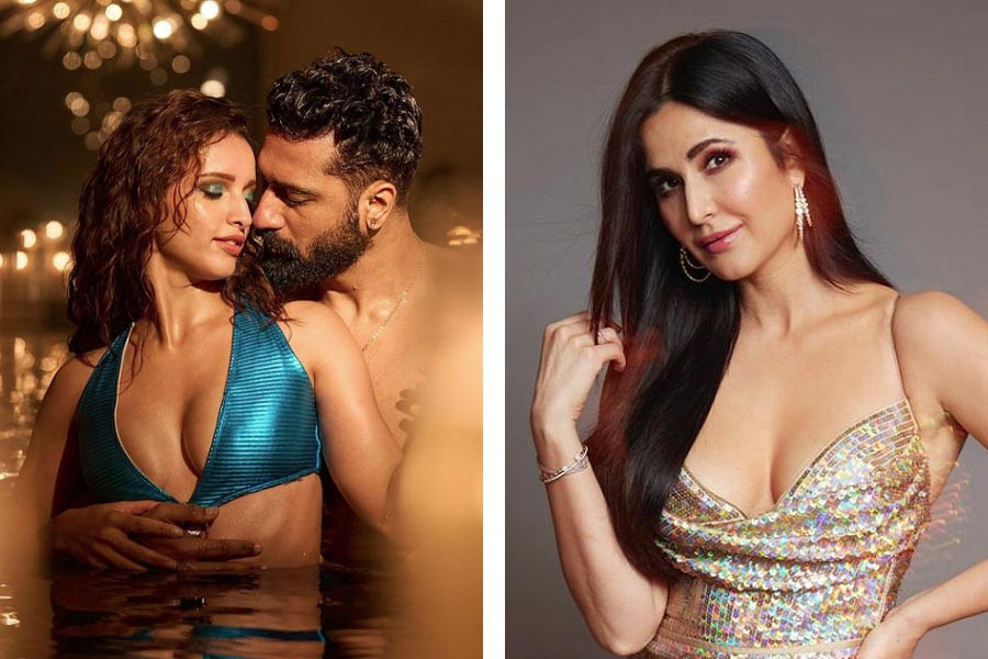 Tripti Dimri And Vicky Kaushal ,Katrina Kaif