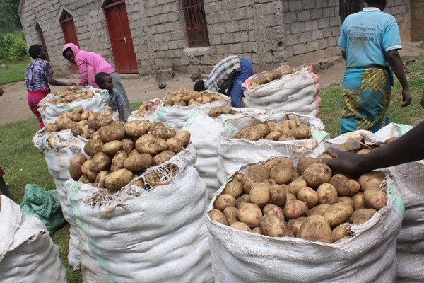 Potato market (symbolic picture)