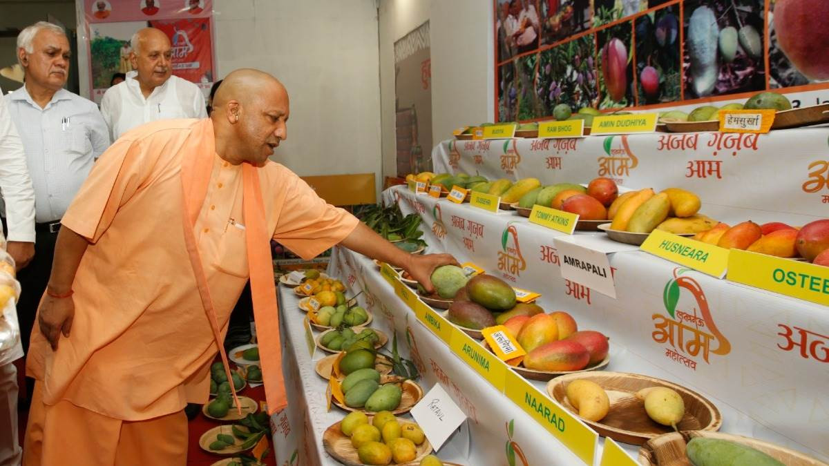 Mango festival starts in Lucknow