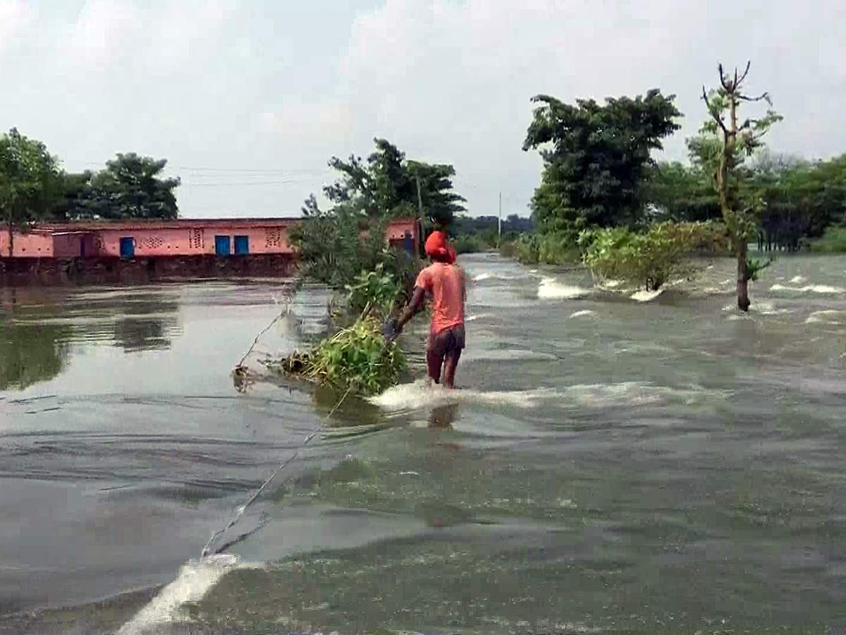 Flood situation in Bihar