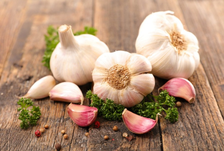 Garlic Health Benefits