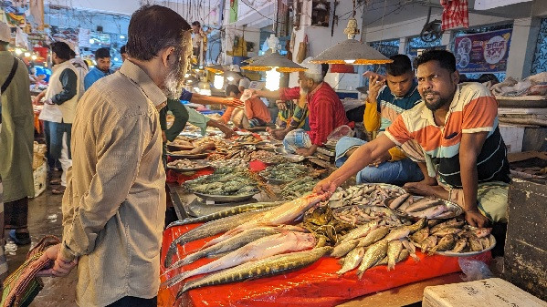 Fish Market (Symbolic Picture)