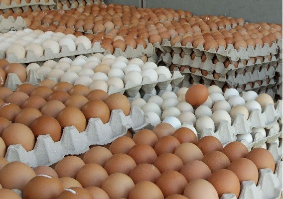 Eggs Price In Bengladesh (Symbolic Picture)