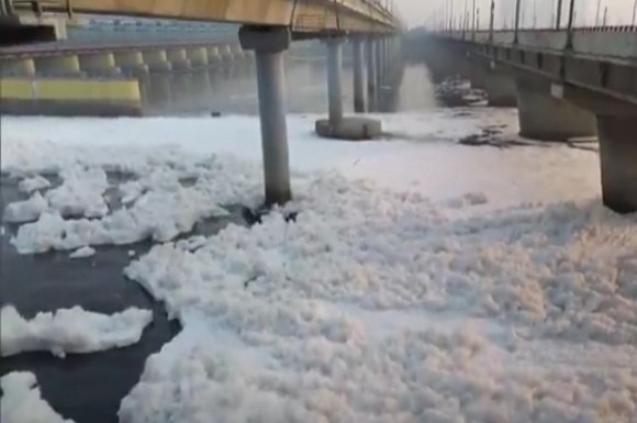 Poisonous foam floated in the water of the Yamuna in Kalindi Kunj