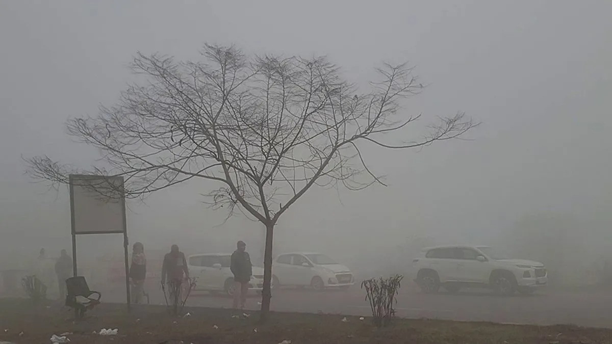 Fog warning in 4 states including Punjab, rain continues in South India