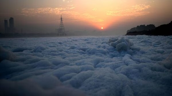 Gasping for pollution in Delhi, Yamuna water contaminated with toxic foam