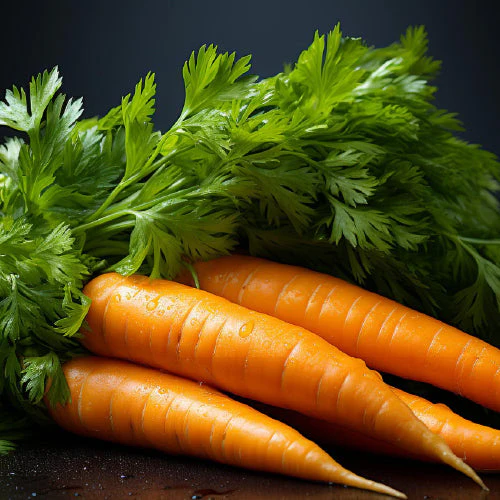 Carrot (Symbolic picture)