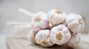 Health Benefits of Garlic