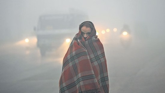 The capital Delhi is shivering in the cold