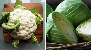 Cauliflower & Cabbage (Symbolic picture)