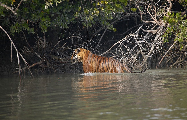 Kultali in South 24 Parganas