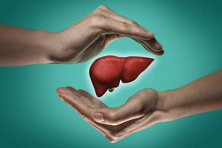 liver health (Symbolic picture)