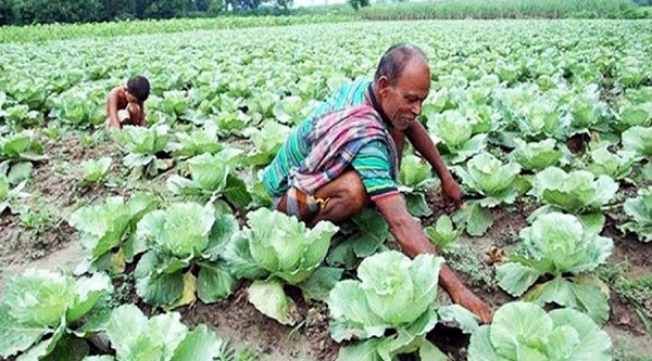 The state bought vegetables from farmers in East Burdwan for the benefit of Bengal