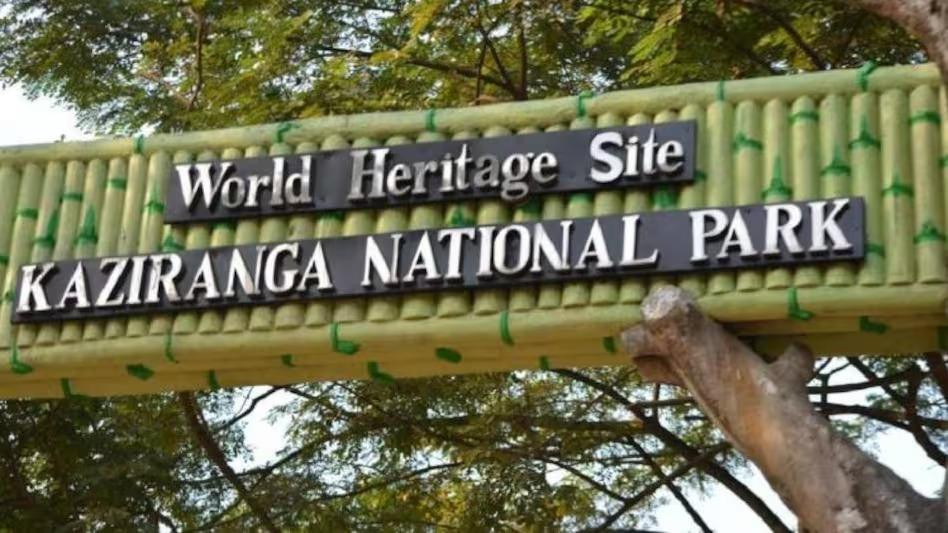 Kaziranga National Park