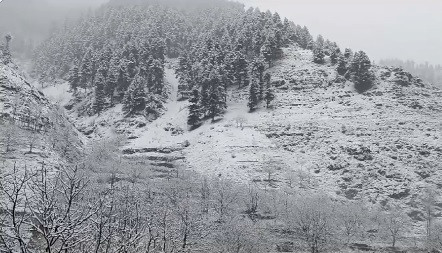 Weather forecast of Kashmir