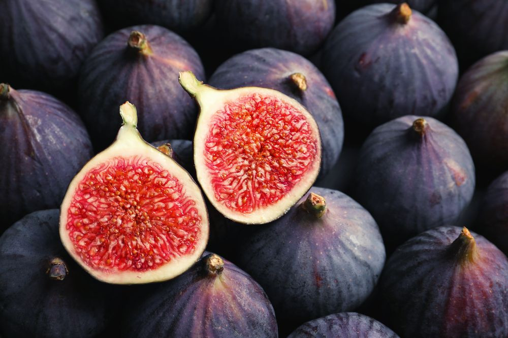 Fig