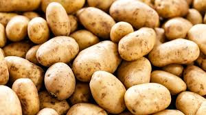 Potato (Symbolic picture)