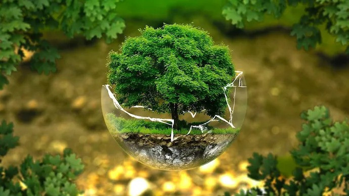 World Forestry Day 2025