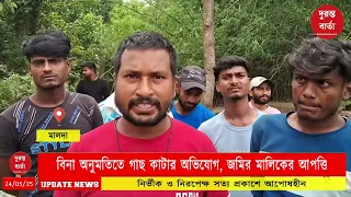 illegal tree cutting