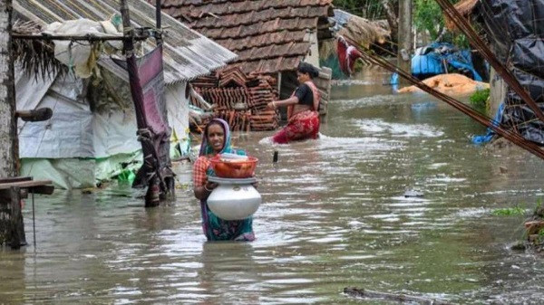 Sundarbans weather alert  (Symbolic picture)