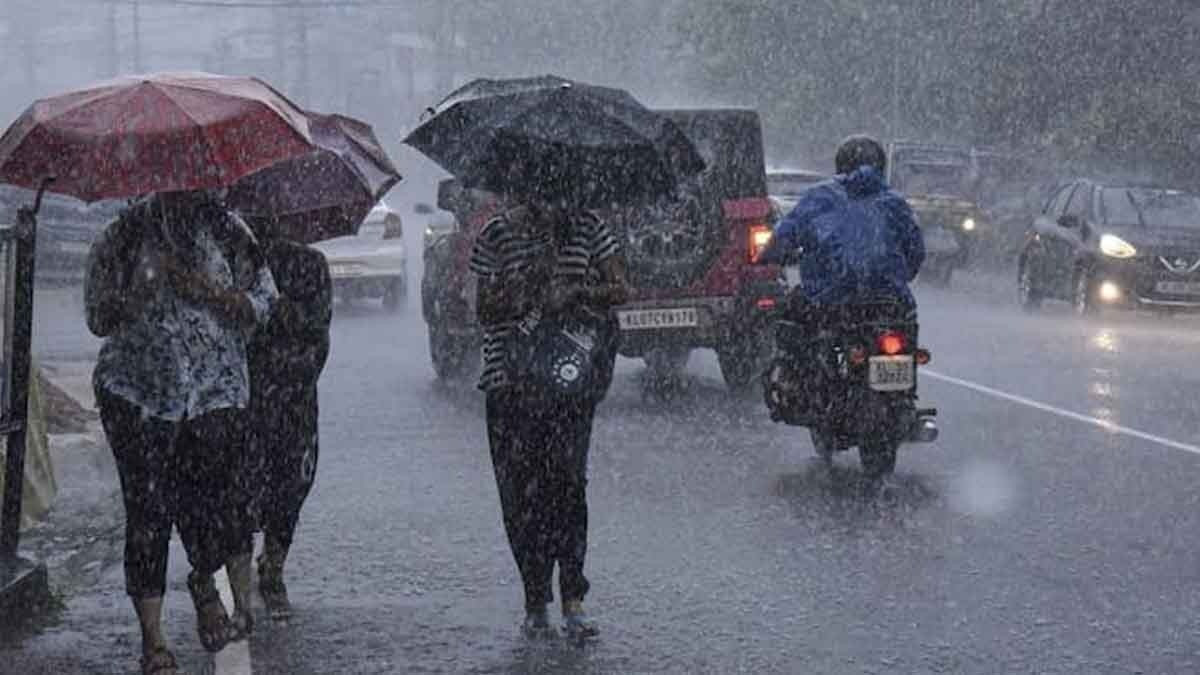 South India weather