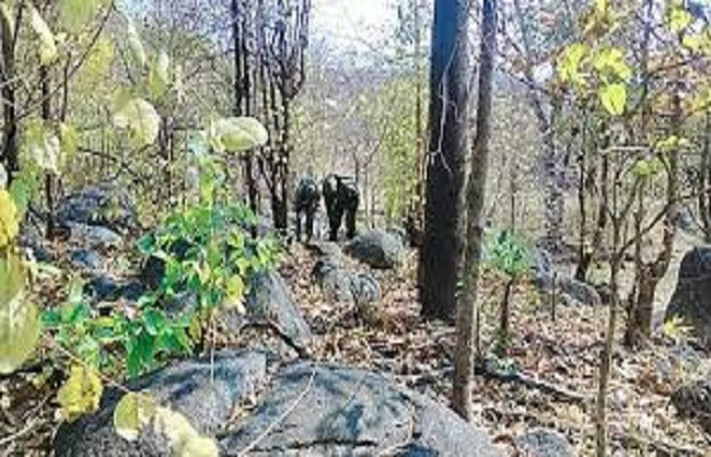 Two female Maoists