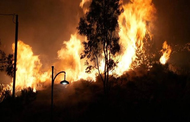 Greece wildfires 2025