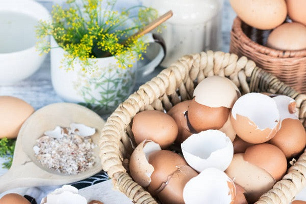 Egg shell Face Pack