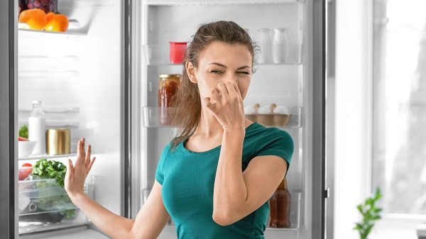 Fridge Maintenance Tips