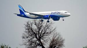 IndiGo Flight Returns