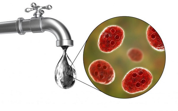 Waterborne disease Outbreak