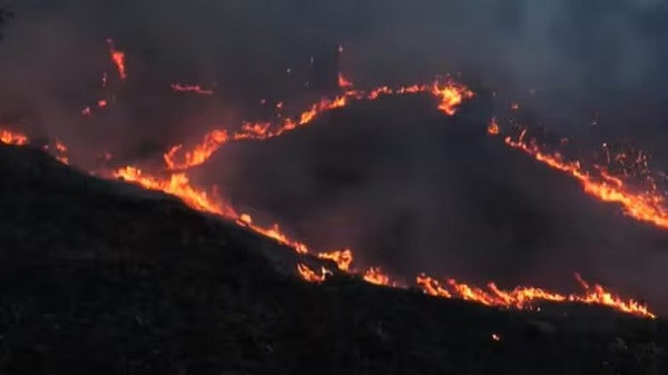 Udhampur Fire