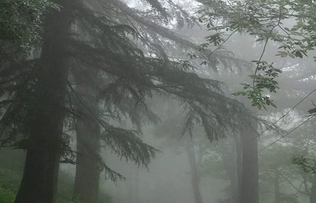Jammu and Kashmir rain forecast