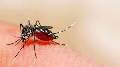 Kolkata ranks sixth in the country in the Centre's annual malaria report