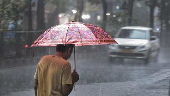 Heavy Rains Lash Madhya Pradesh