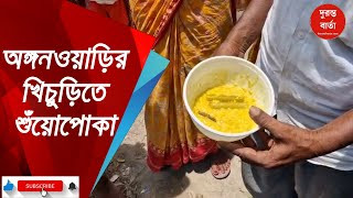 Malda News
