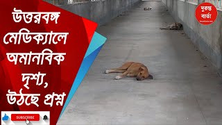 North Bengal News