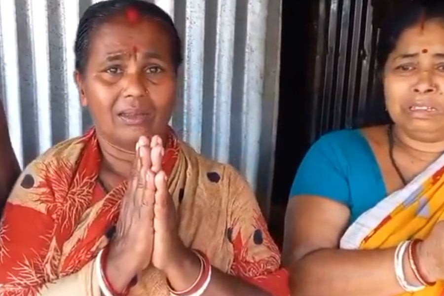 The mother's desperate plea is for the boys to be returned