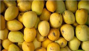 eating too many mangoes