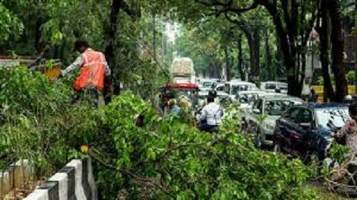 Howrah tree fall incident 2025