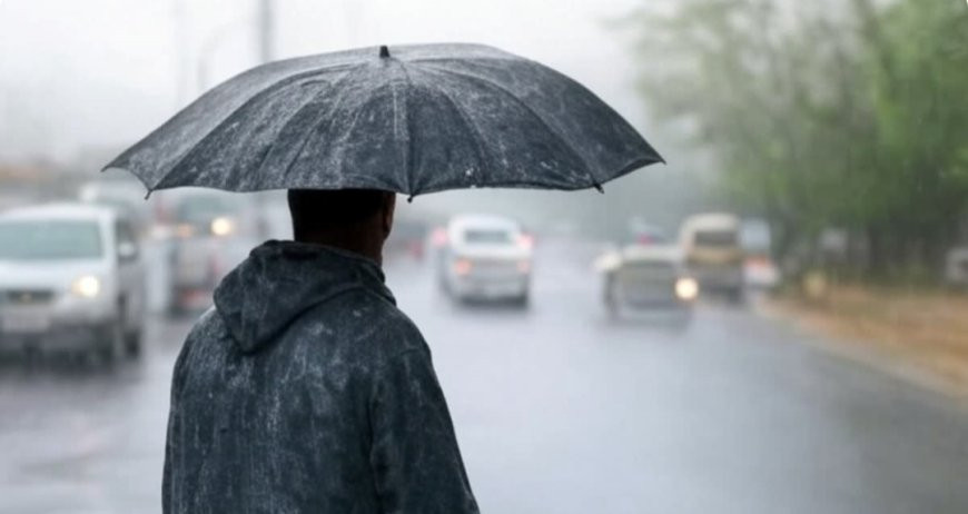 IMD issues yellow alert for heavy rain, thunderstorms in parts of Uttarakhand till August 1