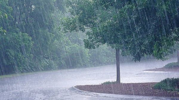 Weather forecast for Bengal