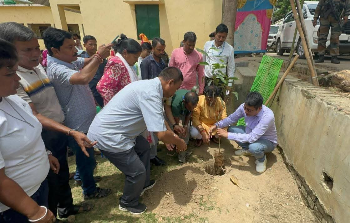 tree plantation program