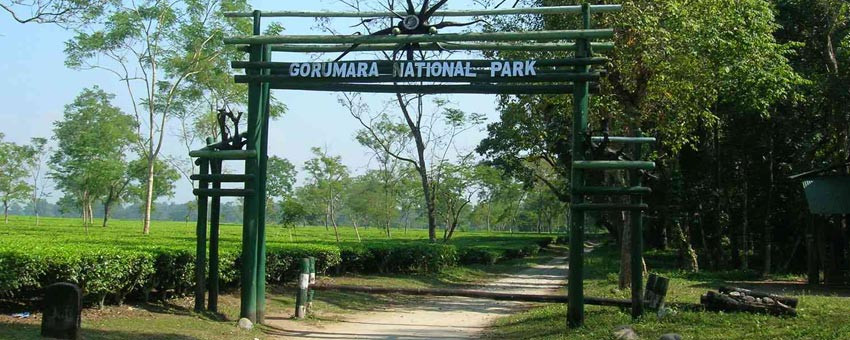 Gorumara National Park