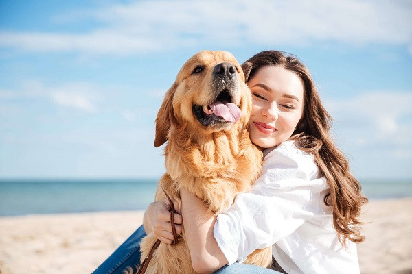 Dog hug